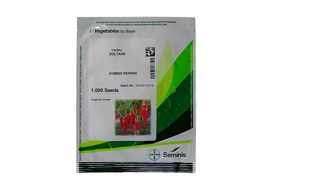 Pepper - Soltane F1