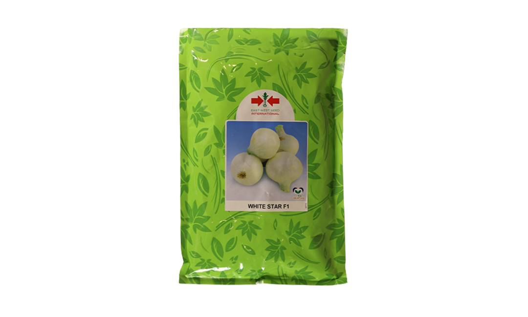 Onion - White Star F1