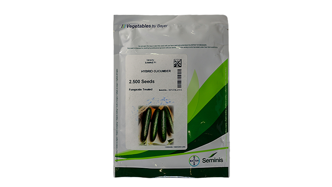 Cucumber - Saiine F1