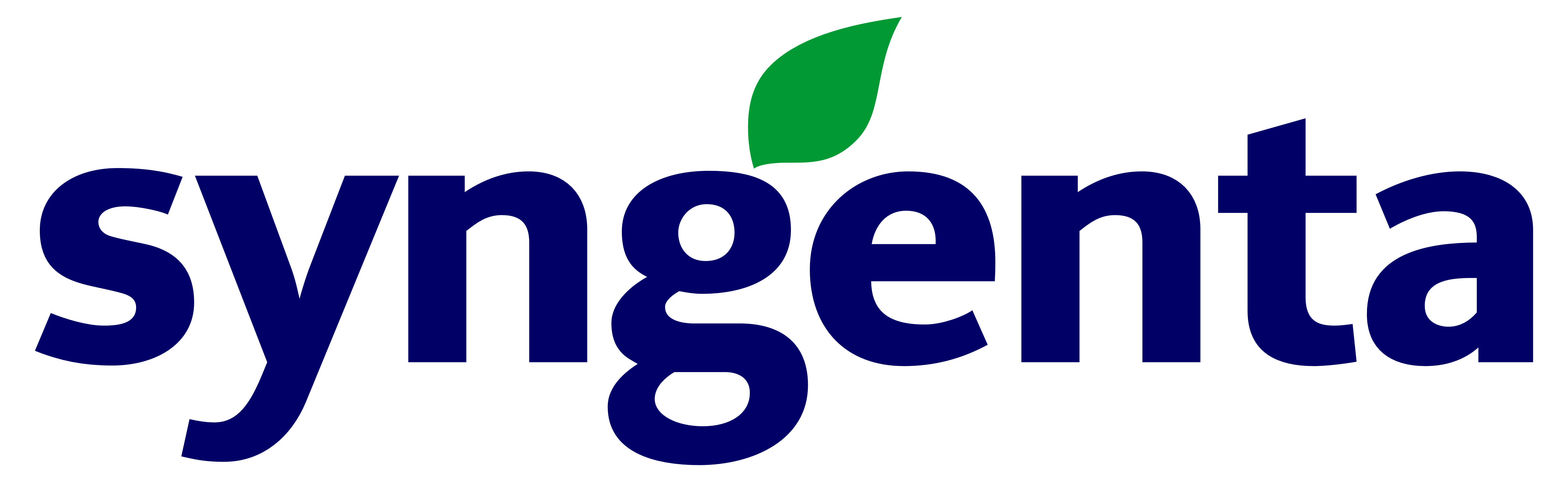 Huizer Zaden Logo